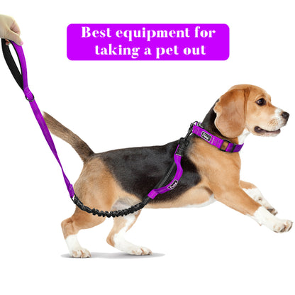 Dog Collar Perro Nylon Reflective Pet Puppy